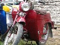 JAWA  50 - 555 (1961)